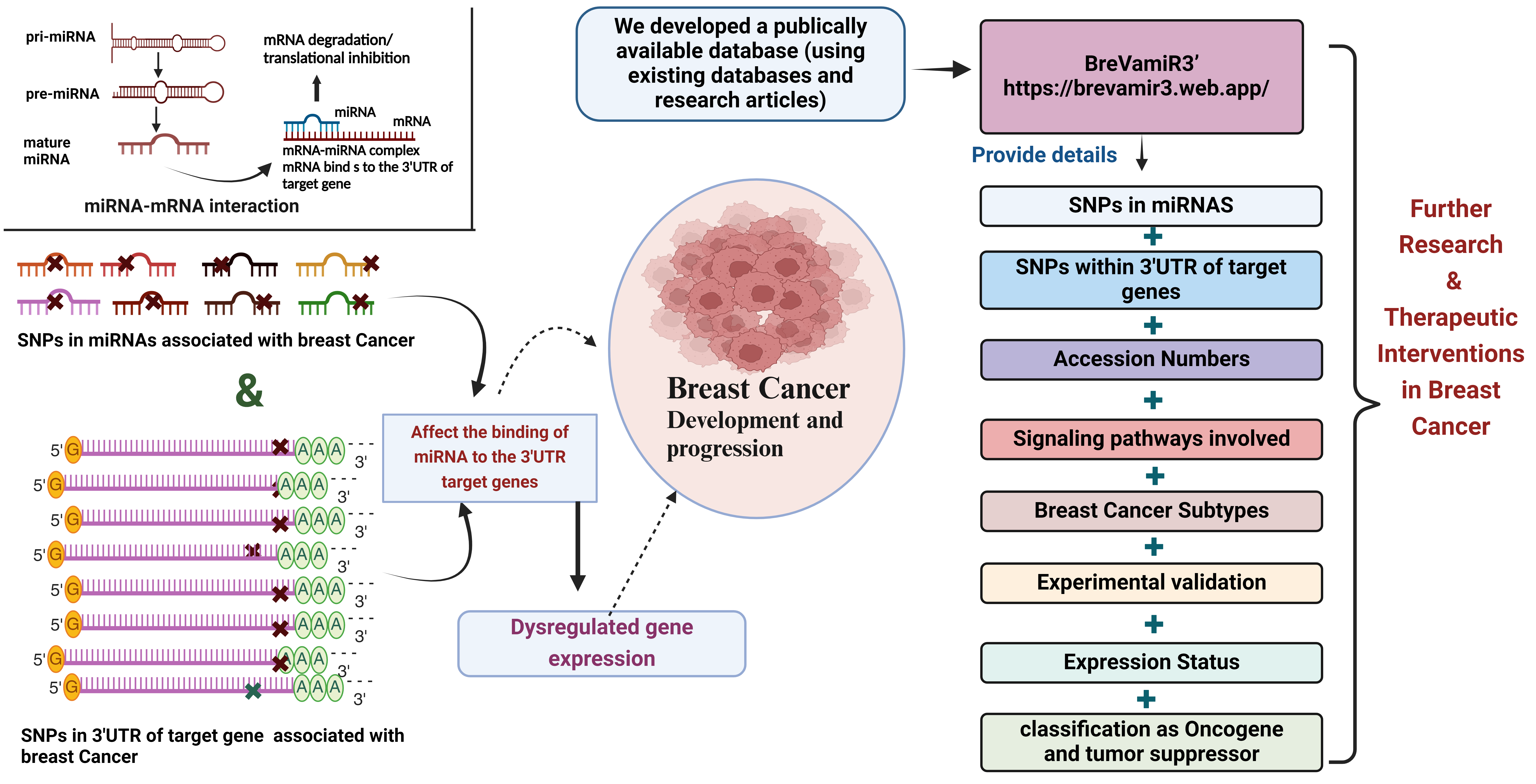 Graphical Abstract